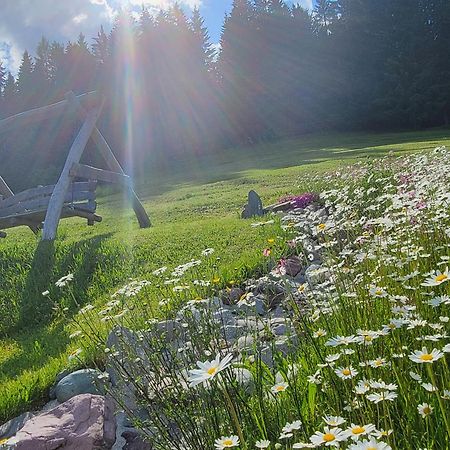 Ferienhof Obertenn Hochfilzen Zewnętrze zdjęcie