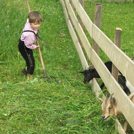 Ferienhof Obertenn Hochfilzen Zewnętrze zdjęcie