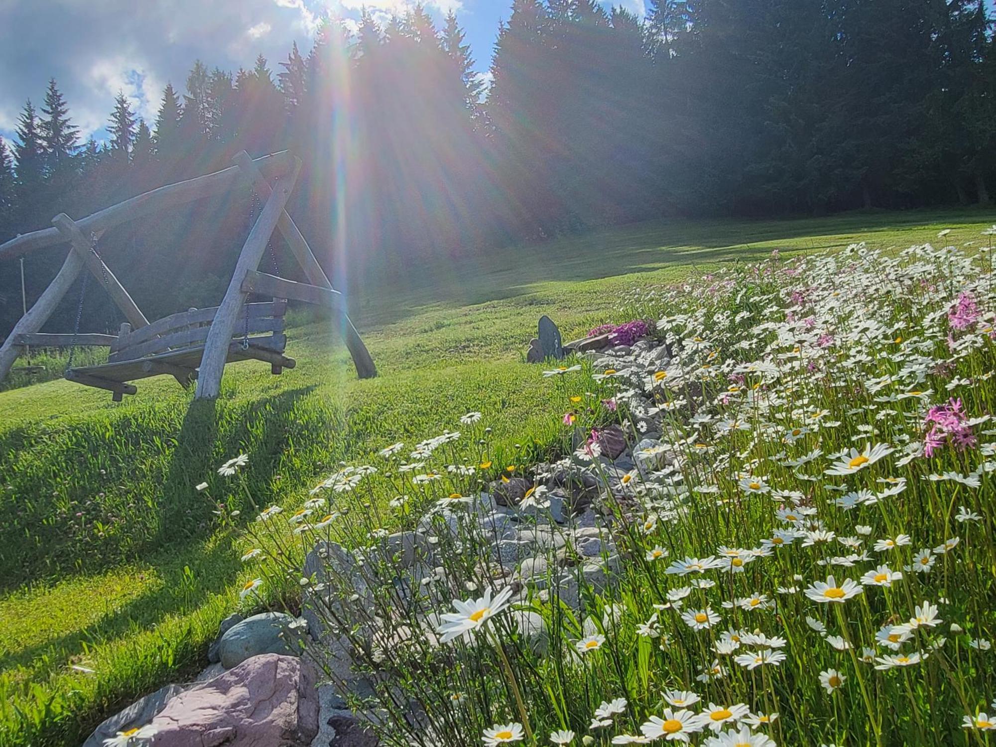 Ferienhof Obertenn Hochfilzen Zewnętrze zdjęcie
