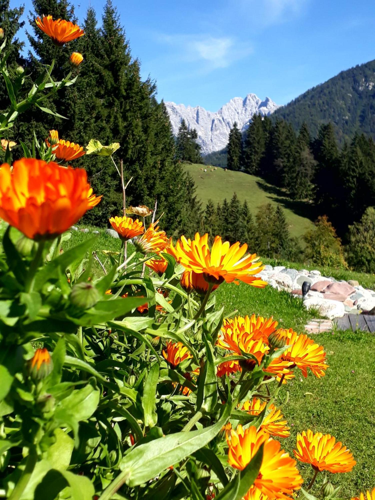 Ferienhof Obertenn Hochfilzen Zewnętrze zdjęcie