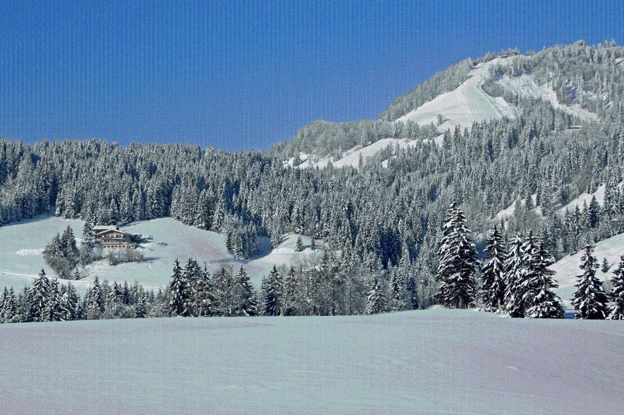 Ferienhof Obertenn Hochfilzen Zewnętrze zdjęcie